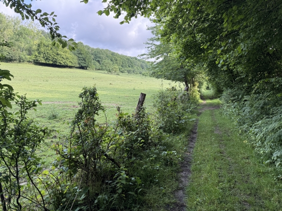 Vue de la randonnée Circuit de la forêt de Longboël au départ de La Neuville-Chant-d'Oisel 2, 76