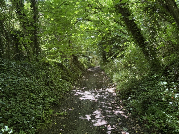 Vue de la randonnée Circuit de la Vallée Galentine au départ de Quévreville-la-Poterie, 76
