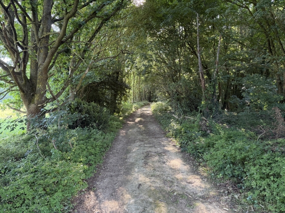 Vue de la randonnée Circuit Entre buis et forêts au départ de Boisset-les-Prévanches, 76