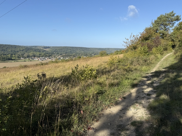 Vue de la randonnée Boucle du bois de Bimorel au départ de St-Julien-de-la-Liègue, 27