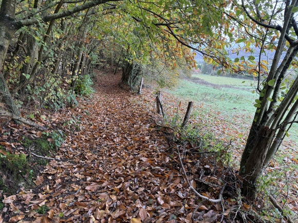 Vue de la randonnée Circuit du Sentier de la Brulette au départ de Foulbec 2, 27