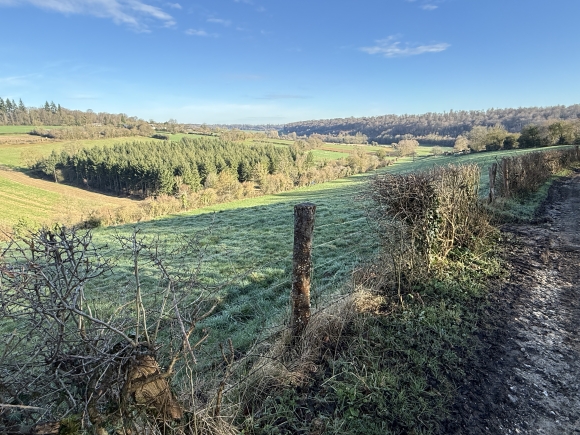 Vue de la randonnée Circuit de la Chouette au départ de Haudricourt 2, 76