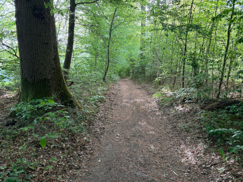 Vue de la randonnée Circuit du Bois de la Ventelette au départ de Quincampoix, 76