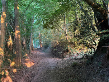 Vue de la randonnée Chemins des bois du Mont Perreux au départ de St-Martin-du-Vivier, 76