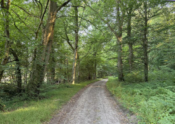 Vue de la randonnée Bois de la Marlière-au-Roi et des Pierre-Cassées au départ de Croisy-sur-Andelle 3, 76