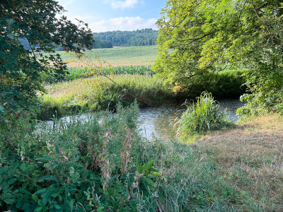 Vue de la randonnée Circuit de la Jacassière en forêt de Lyons au départ de Touffreville, 27